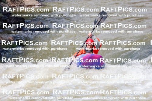 006996_July-25_Privates_RAFTPICS_Racecourse-PM_LA