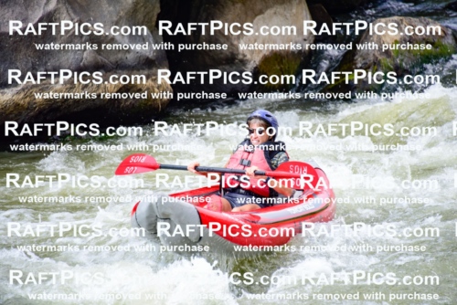 007188_July-25_Los-Rios_RAFTPICS_Racecourse-PM_LAFunyaks-3_