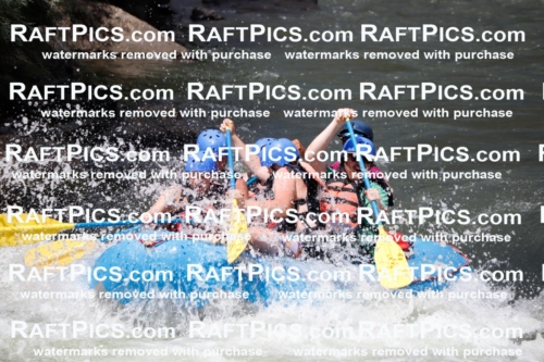 008050_Raftpics_July-27__NEW-WAVE__Racecourse_AM_TC_Boat-One_MG_9107