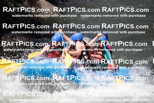 008051_Raftpics_July-27__NEW-WAVE__Racecourse_AM_TC_Boat-One_MG_9108