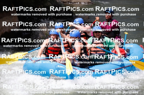 008054_Raftpics_July-27__NEW-WAVE__Racecourse_AM_TC_Boat-One_MG_9111