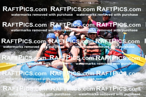 008055_Raftpics_July-27__NEW-WAVE__Racecourse_AM_TC_Boat-One_MG_9112