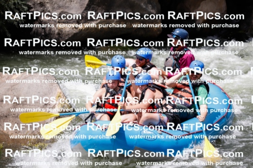 008066_Raftpics_July-27__NEW-WAVE__Racecourse_AM_TC_Boat-One_MG_9123