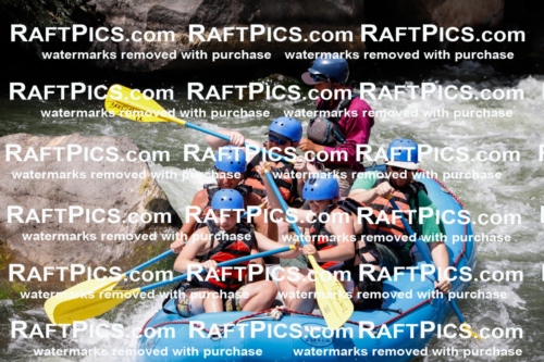 008068_Raftpics_July-27__NEW-WAVE__Racecourse_AM_TC_Boat-One_MG_9125