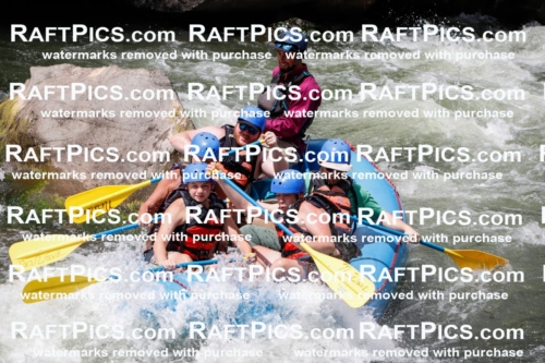 008070_Raftpics_July-27__NEW-WAVE__Racecourse_AM_TC_Boat-One_MG_9127