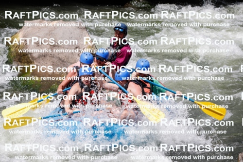 008071_Raftpics_July-27__NEW-WAVE__Racecourse_AM_TC_Boat-One_MG_9128