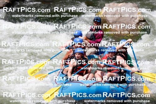 008077_Raftpics_July-27__NEW-WAVE__Racecourse_AM_TC_Boat-One_MG_9134