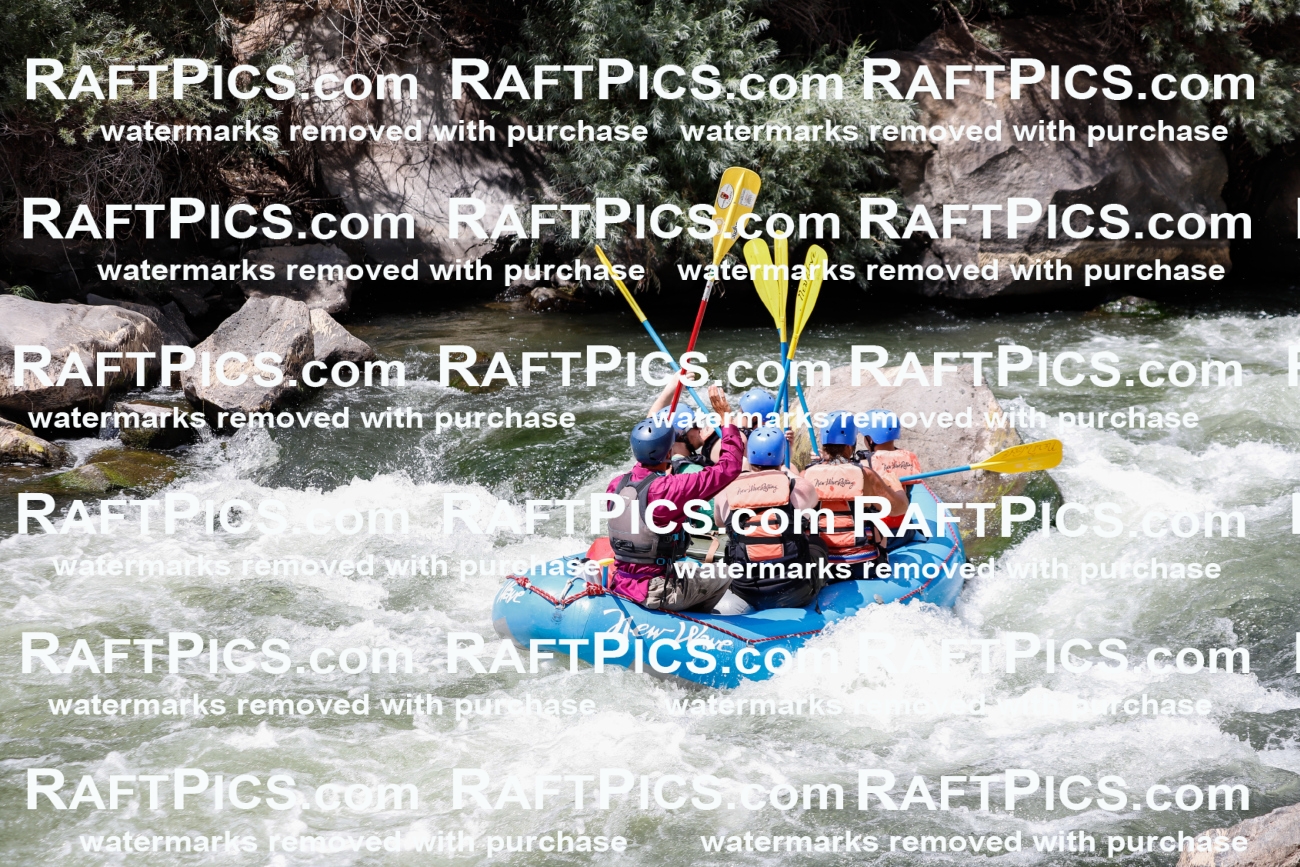 008080_Raftpics_July-27__NEW-WAVE__Racecourse_AM_TC_Boat-One_MG_9137