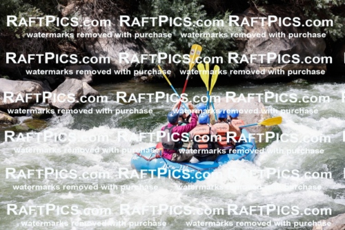 008080_Raftpics_July-27__NEW-WAVE__Racecourse_AM_TC_Boat-One_MG_9137