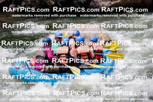 008082_Raftpics_July-27__NEW-WAVE__Racecourse_AM_TC_Boat-One_MG_9139