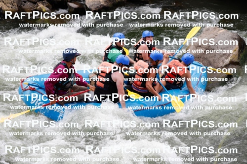 008083_Raftpics_July-27__NEW-WAVE__Racecourse_AM_TC_Boat-One_MG_9140