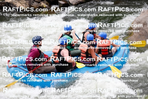 008084_Raftpics_July-27__NEW-WAVE__Racecourse_AM_TC_Boat-One_MG_9141