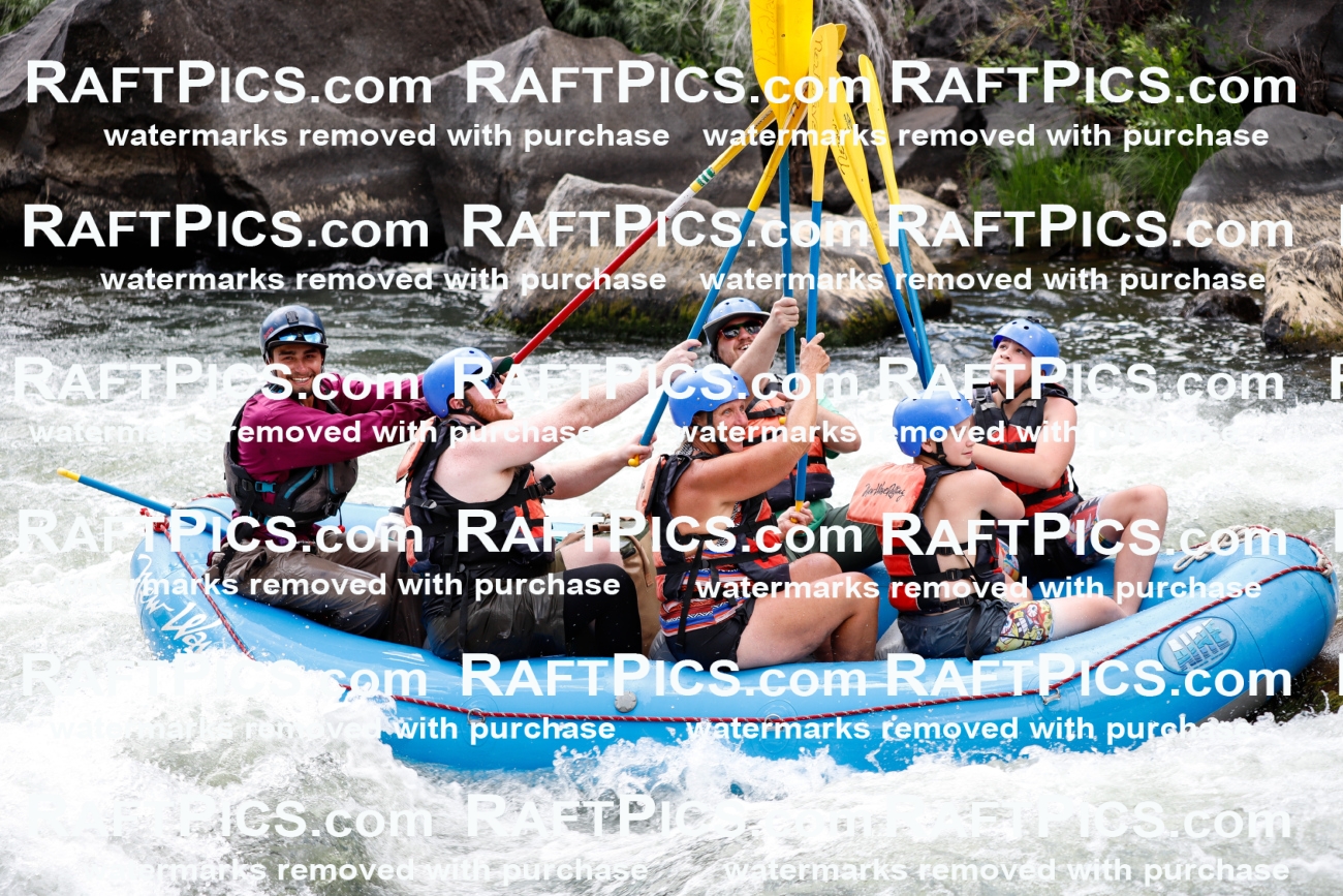 008087_Raftpics_July-27__NEW-WAVE__Racecourse_AM_TC_Boat-One_MG_9144