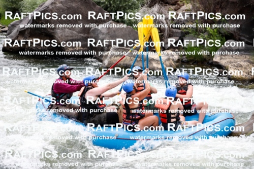 008089_Raftpics_July-27__NEW-WAVE__Racecourse_AM_TC_Boat-One_MG_9146