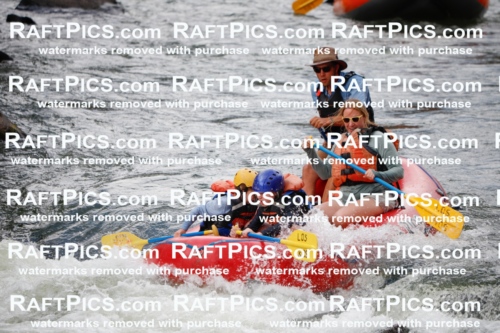 007971_Raftpics_July-27__LOS-RIOS__Racecourse_AM_TC_Boat-One_MG_9160