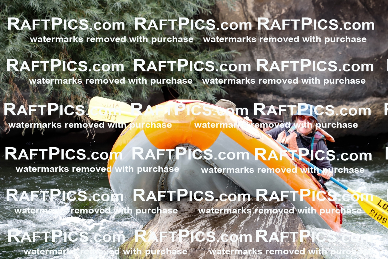 008031_Raftpics_July-27__LOS-RIOS__Racecourse_AM_TC_Boat-Two_MG_9181