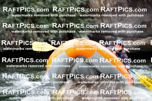 008032_Raftpics_July-27__LOS-RIOS__Racecourse_AM_TC_Boat-Two_MG_9182