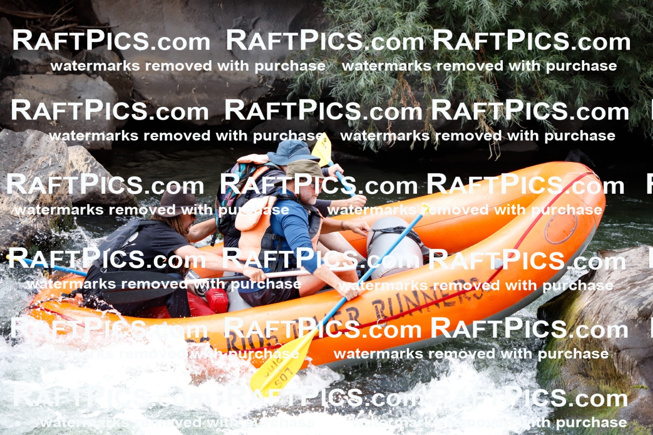 008038_Raftpics_July-27__LOS-RIOS__Racecourse_AM_TC_Boat-Two_MG_9188