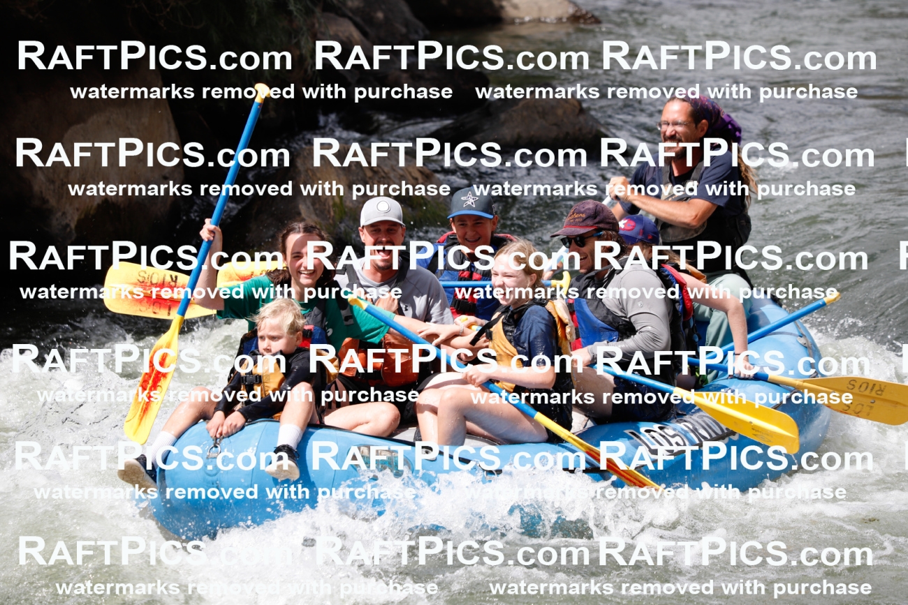 007945_Raftpics_July-27__LOS-RIOS__Racecourse_AM_TC_Boat-Four_MG_9242