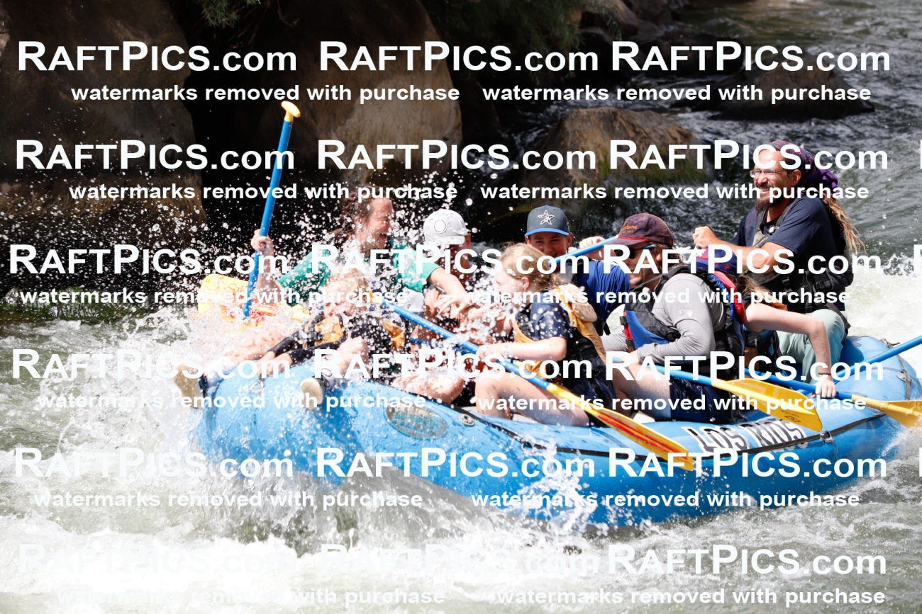 007948_Raftpics_July-27__LOS-RIOS__Racecourse_AM_TC_Boat-Four_MG_9245