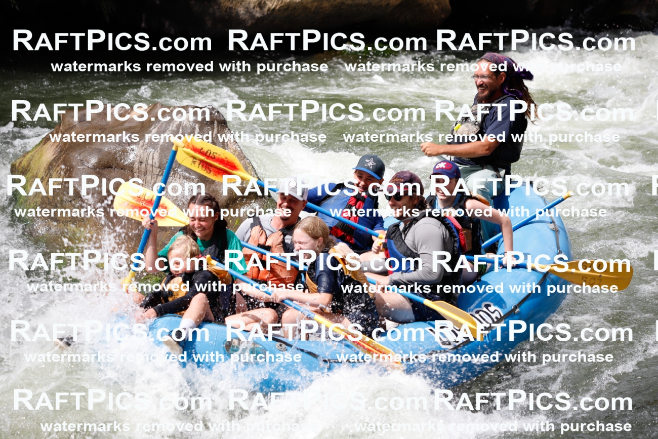 007958_Raftpics_July-27__LOS-RIOS__Racecourse_AM_TC_Boat-Four_MG_9255