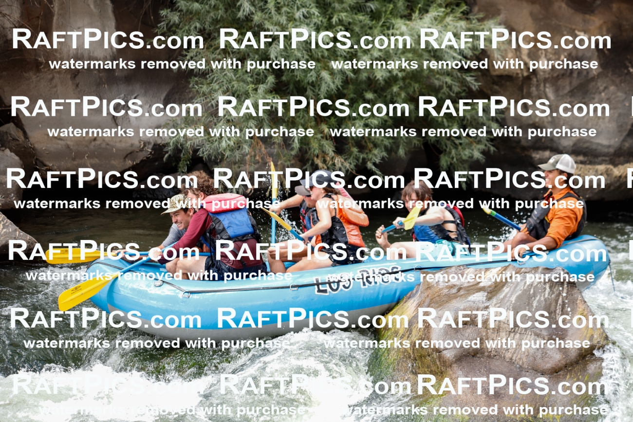 008017_Raftpics_July-27__LOS-RIOS__Racecourse_AM_TC_Boat-Three_MG_9224