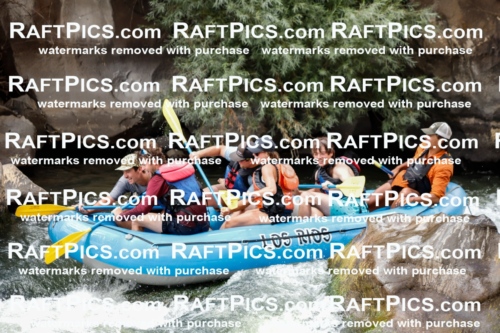 008019_Raftpics_July-27__LOS-RIOS__Racecourse_AM_TC_Boat-Three_MG_9226