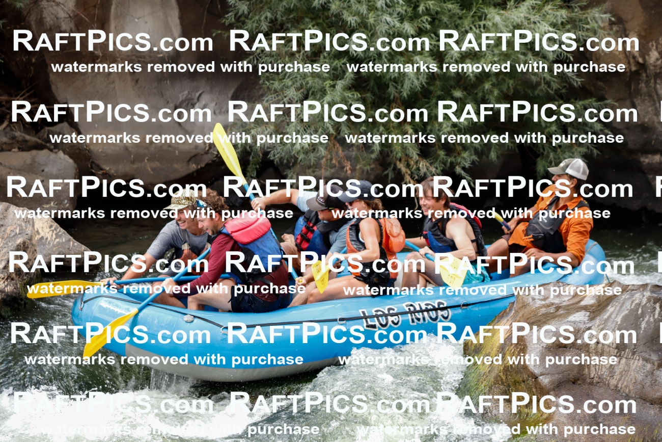 008020_Raftpics_July-27__LOS-RIOS__Racecourse_AM_TC_Boat-Three_MG_9227