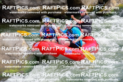 007338_July-30_LOS-RIOS-_RAFTPICS_Racecourse-AM_LAJackson_-