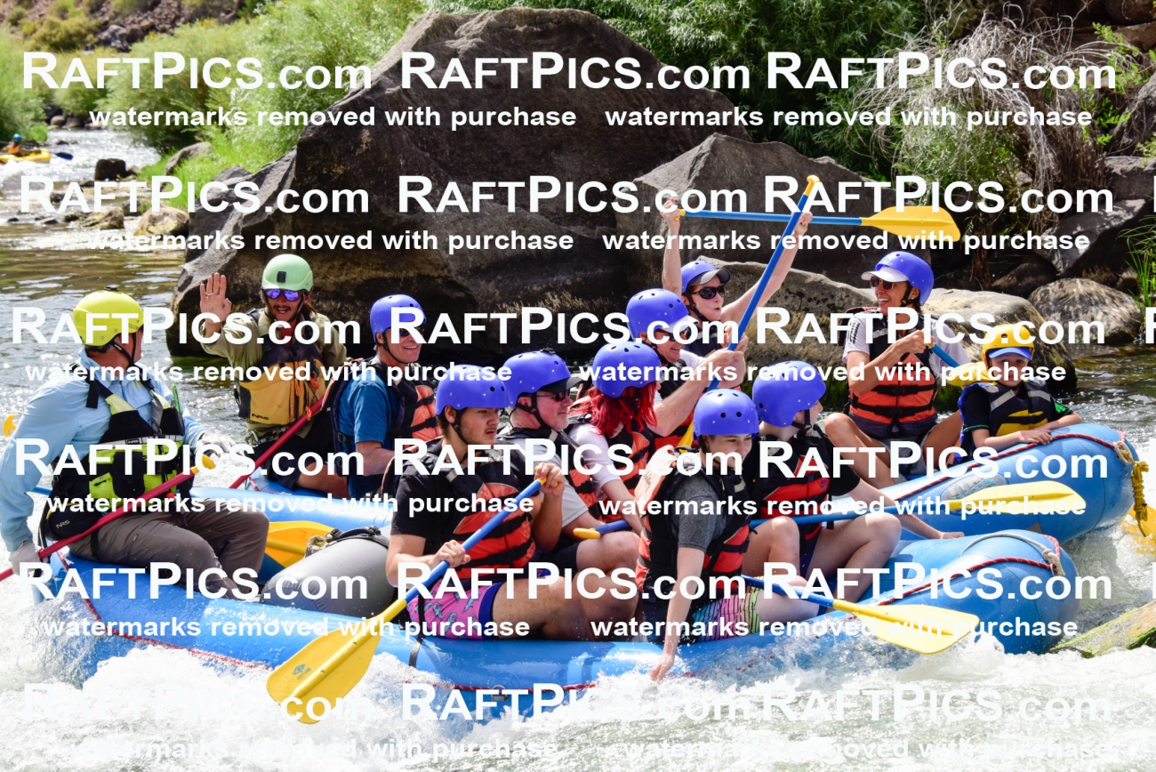 007395_July-30_New-WaveR-_RAFTPICS_Racecourse-PM_LAJoey_-