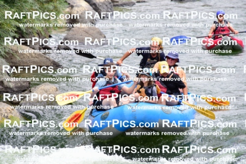 007560_July-31_Los-Rios-_RAFTPICS_Racecourse-AM_LASHAY_-