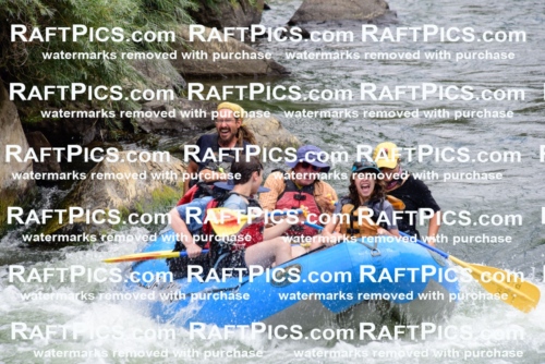 007567_July-31_Los-Rios-_RAFTPICS_Racecourse-AM_LASHAY_-