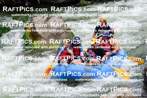 007585_July-31_Los-Rios-_RAFTPICS_Racecourse-AM_LASHAY_-