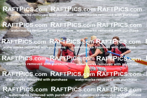 007667_July-31_Los-Rios-_RAFTPICS_Racecourse-AM_LANATHAN_-