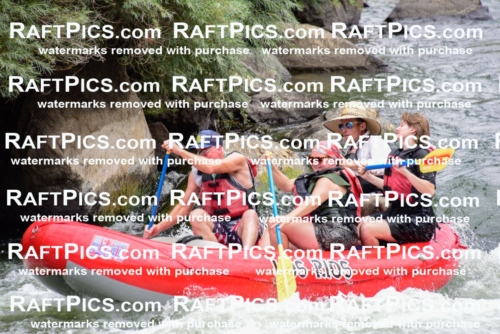 007675_July-31_Los-Rios-_RAFTPICS_Racecourse-AM_LANATHAN_-