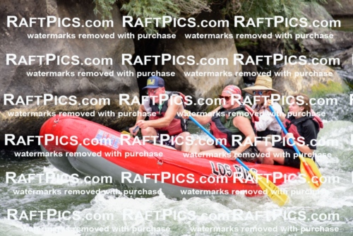 007677_July-31_Los-Rios-_RAFTPICS_Racecourse-AM_LANATHAN_-