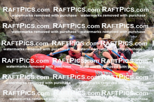 007678_July-31_Los-Rios-_RAFTPICS_Racecourse-AM_LANATHAN_-