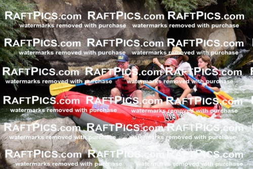 007679_July-31_Los-Rios-_RAFTPICS_Racecourse-AM_LANATHAN_-