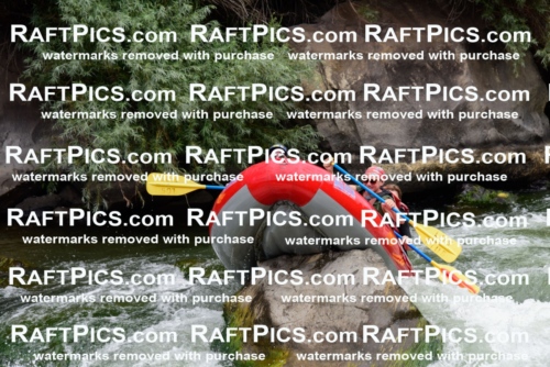 007685_July-31_Los-Rios-_RAFTPICS_Racecourse-AM_LANATHAN_-