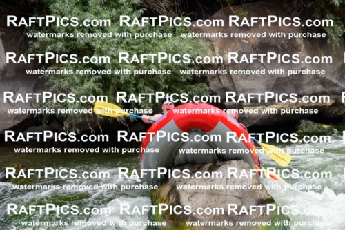 007686_July-31_Los-Rios-_RAFTPICS_Racecourse-AM_LANATHAN_-