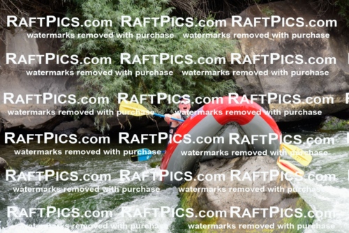 007687_July-31_Los-Rios-_RAFTPICS_Racecourse-AM_LANATHAN_-