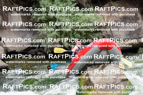 007688_July-31_Los-Rios-_RAFTPICS_Racecourse-AM_LANATHAN_-