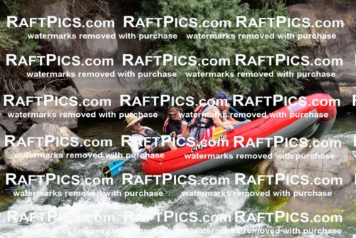 007694_July-31_Los-Rios-_RAFTPICS_Racecourse-AM_LANATHAN_-