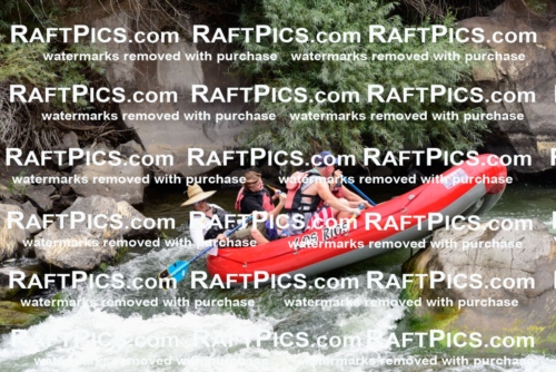 007695_July-31_Los-Rios-_RAFTPICS_Racecourse-AM_LANATHAN_-