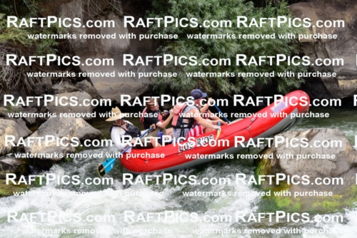 007696_July-31_Los-Rios-_RAFTPICS_Racecourse-AM_LANATHAN_-