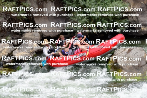 007697_July-31_Los-Rios-_RAFTPICS_Racecourse-AM_LANATHAN_-