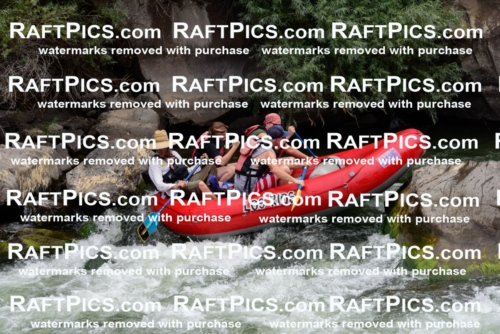 007698_July-31_Los-Rios-_RAFTPICS_Racecourse-AM_LANATHAN_-