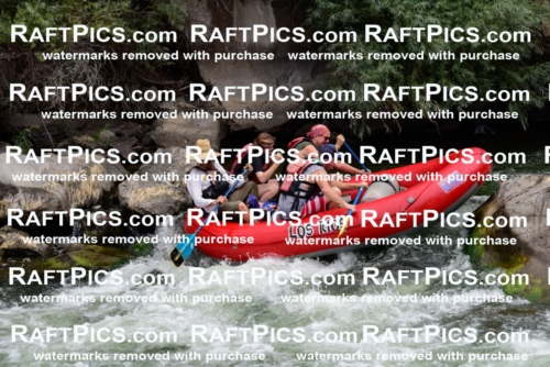 007699_July-31_Los-Rios-_RAFTPICS_Racecourse-AM_LANATHAN_-