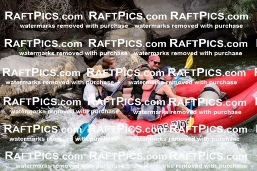 007701_July-31_Los-Rios-_RAFTPICS_Racecourse-AM_LANATHAN_-