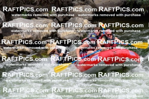 007706_July-31_Los-Rios-_RAFTPICS_Racecourse-AM_LANATHAN_-